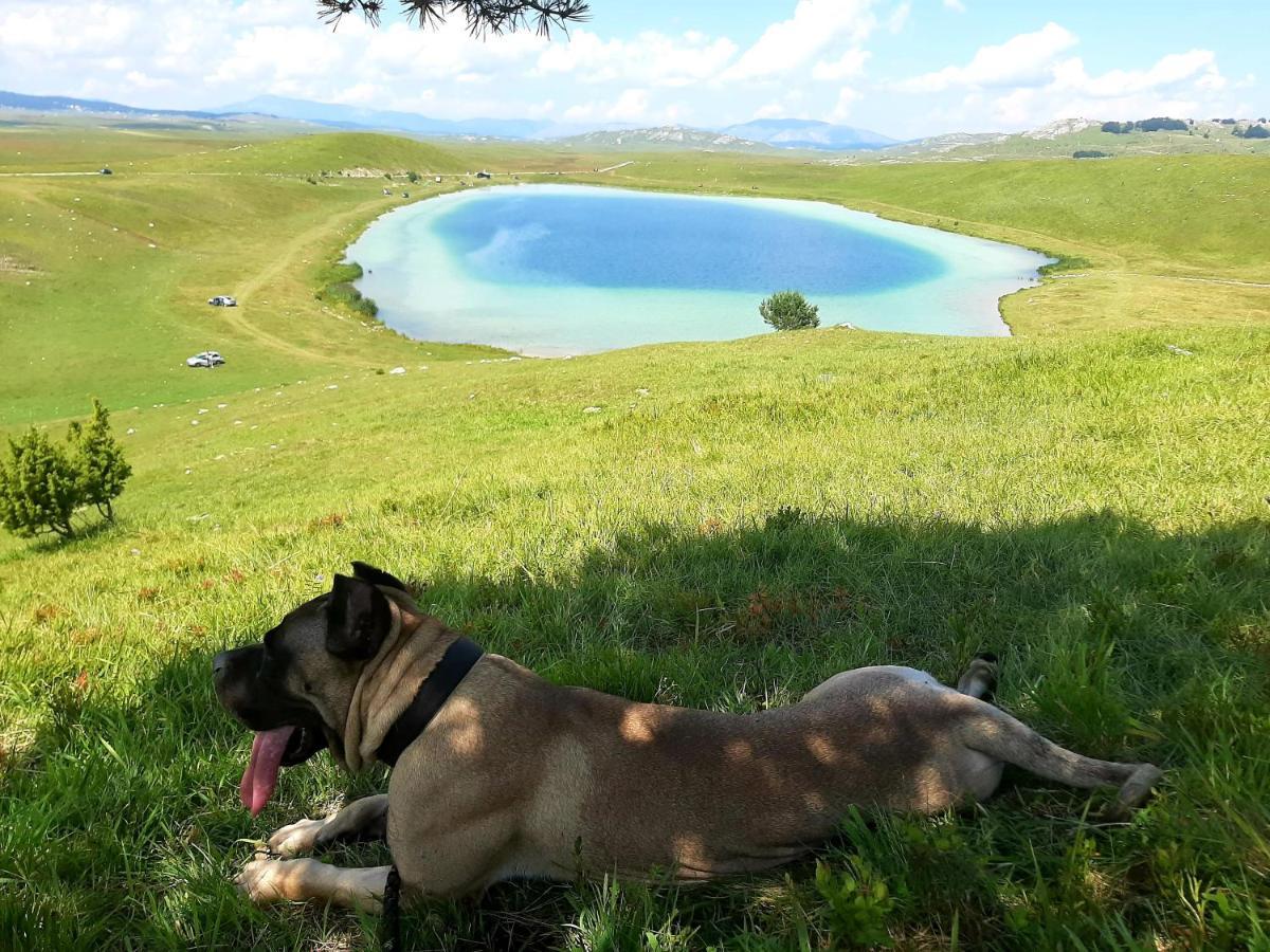 Etno Idila D&D Villa Žabljak Exterior foto